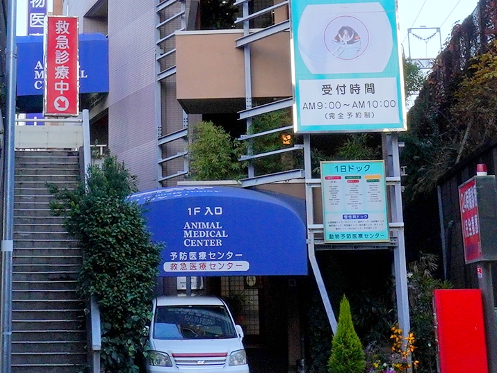 神奈川県川崎市中原区の高度救急動物病院救急入り口